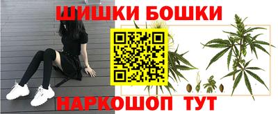 мдпв Чапаевск