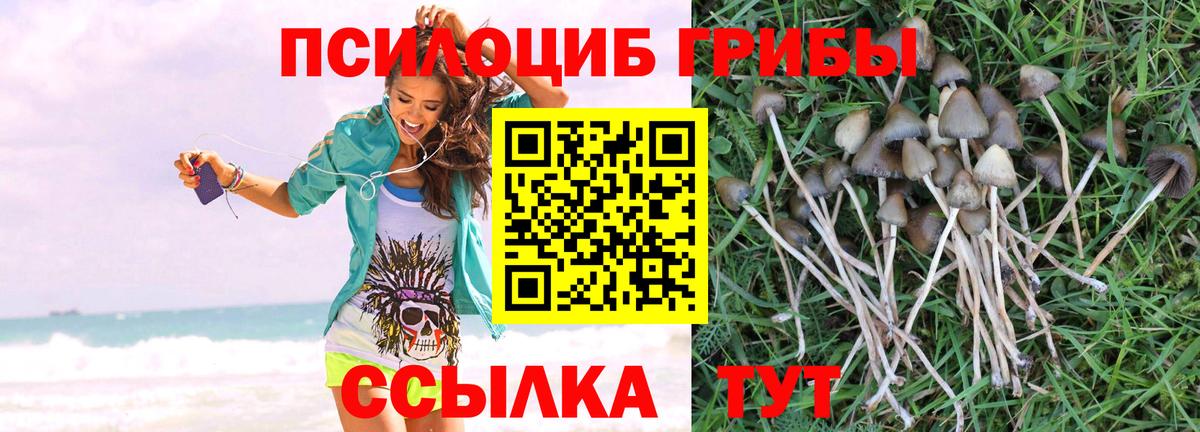 Псилоцибиновые грибы MAGIC MUSHROOMS  Вход с VPN  Галлюциногенные грибы MAGIC MUSHROOMS  Люберцы 